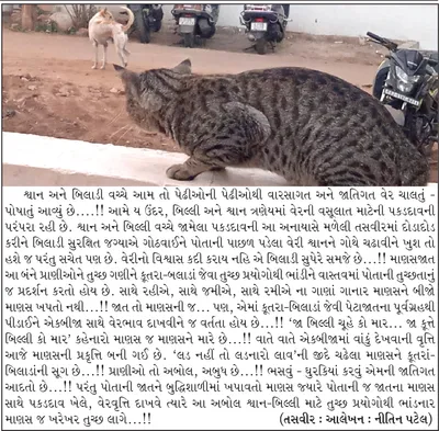 તુચ્છ પ્રયોગોથી ભાંડનાર માણસ જ તુચ્છ લાગે       