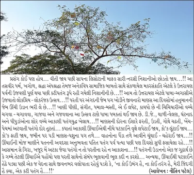 મેરી ઝીંદગી હૈ ક્યાં   એક કટી પતંગ હૈ    