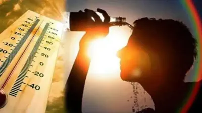 ગુજરાતમાં ગરમીથી હાહાકાર   માત્ર 6 દિવસમાં 5433 લોકોની તબિયત લથડી